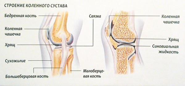 Боль и хруст в колене при сгибании и разгибании лечение воспаление сустава thumbnail