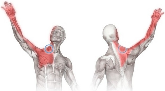 Боль в плечевом суставе при поднятии руки в сторону - лечение
