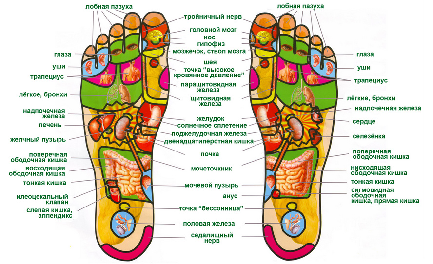 Точки, расположенные на пальцах ног, связаны с зубами, глазами, носом, сердцем, ушами