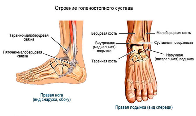 Как вылечить голеностопные суставы ног